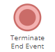 BPM Terminate End Event