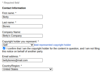 DMCA Form Example